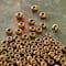 12 Pack: Toho® Metallic Japanese Glass Seed Beads, 6/0